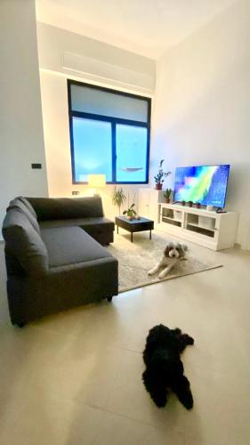 Across from the Turia Modern City Stay in バレンシア Across from the Turia Modern City Stay in バレンシア