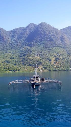 Guest House Dorm Floressa in Flores Guest House Dorm Floressa in Flores