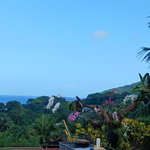 Hoakehu Lodge in Otoci Marquesas Hoakehu Lodge in Otoci Marquesas