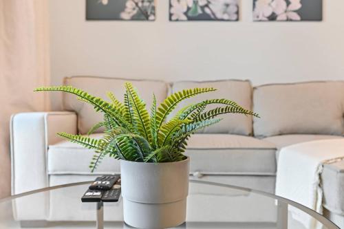 New Large Studio - Great Terrace in Al Quoz New Large Studio - Great Terrace in Al Quoz