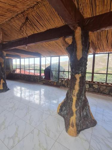 Hostal La Extincion in 多羅多羅 Hostal La Extincion in 多羅多羅