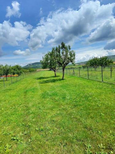 Kemp Pod Pálavou (Kemp Pod Palavou) in Dolni Dunajovice Kemp Pod Pálavou (Kemp Pod Palavou) in Dolni Dunajovice