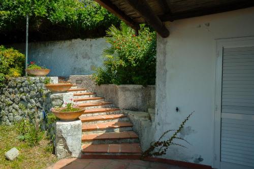 Létesítmények, Via Provinciale Panza in Forio Létesítmények, Via Provinciale Panza in Forio