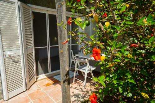 Létesítmények, Via Provinciale Panza in Forio Létesítmények, Via Provinciale Panza in Forio