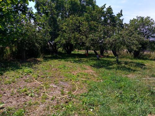 Pambak home in Spitak Pambak home in Spitak