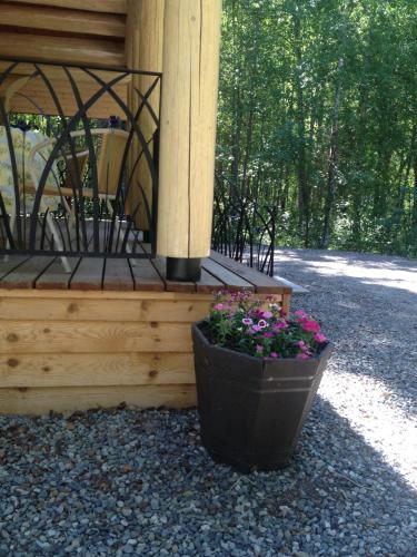 在meiguo.com看到的Talkeetna Majestic的介绍图片