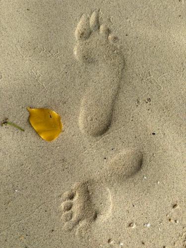 Duke of York Hamlet - Camping and Recreational Site, in Kokopo near Rabaul repülőtér Duke of York Hamlet - Camping and Recreational Site, in Kokopo near Rabaul repülőtér