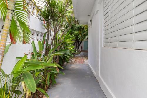 Isla Verde Retreats - 2 Stylish Homes by the Ocean in Loiza Isla Verde Retreats - 2 Stylish Homes by the Ocean in Loiza