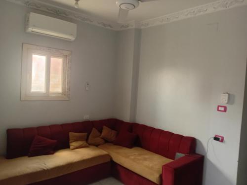 Shaban in Bani Sweif Shaban in Bani Sweif