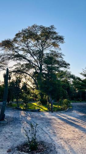 Happy Forest B&B in Katima Mullo Happy Forest B&B in Katima Mullo