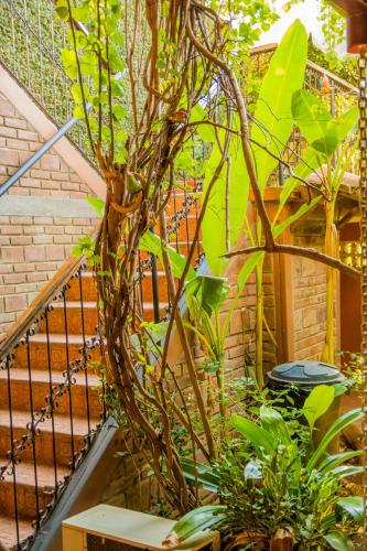 This photo about Posada Fuente Castalia shared on HyHotel.com