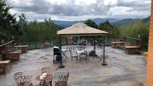 Pinot noir in Delfim Moreira Pinot noir in Delfim Moreira