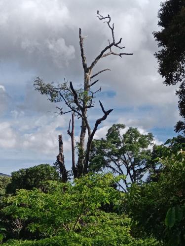 Sports and activities, Apto CUEVA DEL OSO PARAMILLO 2 Hab 4 Pax in San Carlos Sports and activities, Apto CUEVA DEL OSO PARAMILLO 2 Hab 4 Pax in San Carlos