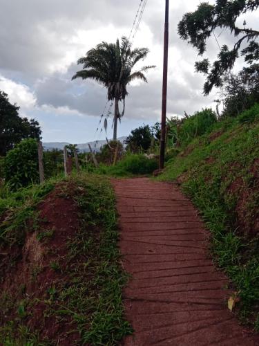 Sports and activities, Apto CUEVA DEL OSO PARAMILLO 2 Hab 4 Pax in San Cristobal Sports and activities, Apto CUEVA DEL OSO PARAMILLO 2 Hab 4 Pax in San Cristobal