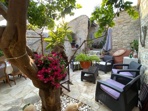 阿羅尼克法朗格斯鄉村別墅 (Arhontiko Frangos) in 卡托德里斯 阿羅尼克法朗格斯鄉村別墅 (Arhontiko Frangos) in 卡托德里斯