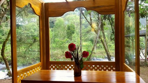 Αίθουσα υποδοχής, Saguamby Mindo Lodge in Μλίντο Αίθουσα υποδοχής, Saguamby Mindo Lodge in Μλίντο