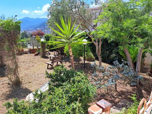 Garden, Il Giardino di Rosa & Elino in Salerno Garden, Il Giardino di Rosa & Elino in Salerno