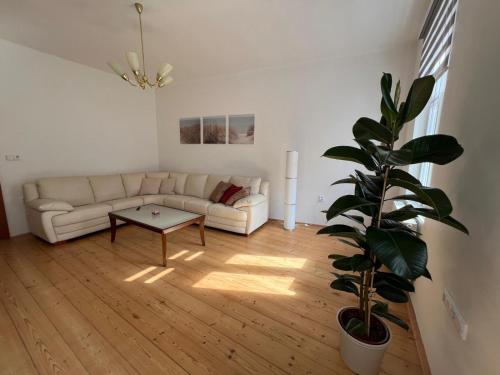 ห้องพัก, Apartmán pod věží Jevíčko (Apartman pod vezi Jevicko) in เยวิซโค ห้องพัก, Apartmán pod věží Jevíčko (Apartman pod vezi Jevicko) in เยวิซโค