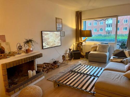 Scandinavian apartment with fireplace in Herttoniemenranta Scandinavian apartment with fireplace in Herttoniemenranta