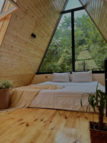 Utopia Inn უტოპია ინნ