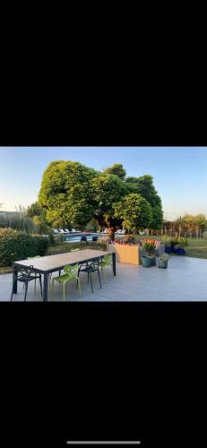 Logements chaleureux dans Maison avec piscine à 35 min de LYON (Logements chaleureux dans Maison avec piscine a 35 min de LYON) in Bagnols Logements chaleureux dans Maison avec piscine à 35 min de LYON (Logements chaleureux dans Maison avec piscine a 35 min de LYON) in Bagnols