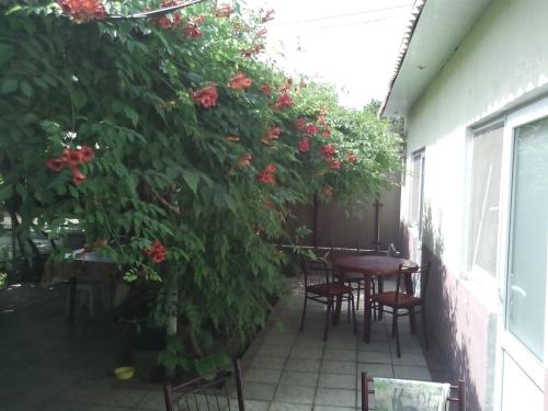 This photo about Guesthouse na Podgornoy shared on HyHotel.com