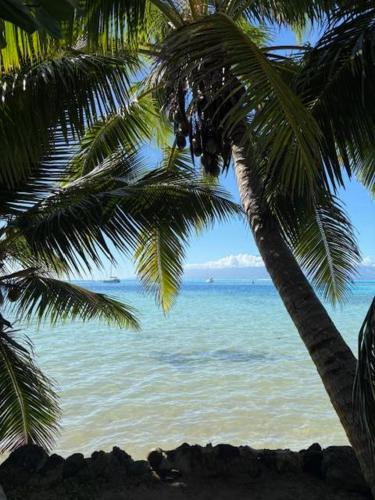 Chez Karlito in 모레아 아일랜드 Chez Karlito in 모레아 아일랜드