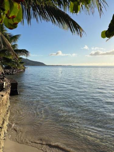 Chez Karlito in 모레아 아일랜드 Chez Karlito in 모레아 아일랜드