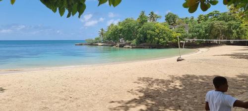 Margarita in Rio San Juan Margarita in Rio San Juan