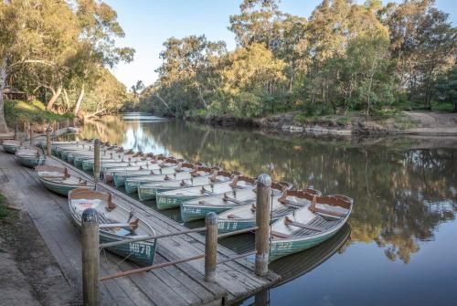 Tranquil Treehouse in Fairfield Tranquil Treehouse in Fairfield