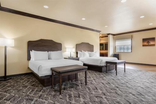 Best Western Plus Cimarron Hotel & Suites in Stillwater (OK) Best Western Plus Cimarron Hotel & Suites in Stillwater (OK)