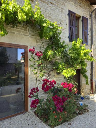 Kert, Les Vignes du Mâconnais (Les Vignes du Maconnais) in Saint Gengoux De Scisse Kert, Les Vignes du Mâconnais (Les Vignes du Maconnais) in Saint Gengoux De Scisse