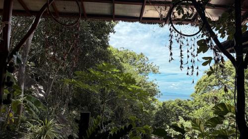 Slow-Down Homestay Koh Tao 1 in Tanote Bay Slow-Down Homestay Koh Tao 1 in Tanote Bay