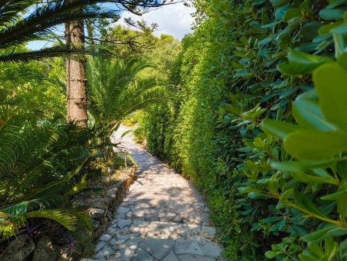 Garden, Quiet Private Garden Suite with Pool in Maure Garden, Quiet Private Garden Suite with Pool in Maure