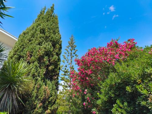 Garden, Quiet Private Garden Suite with Pool in Maure Garden, Quiet Private Garden Suite with Pool in Maure