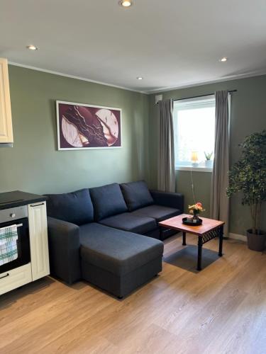 Mai Tran in Gjovik City Center Mai Tran in Gjovik City Center