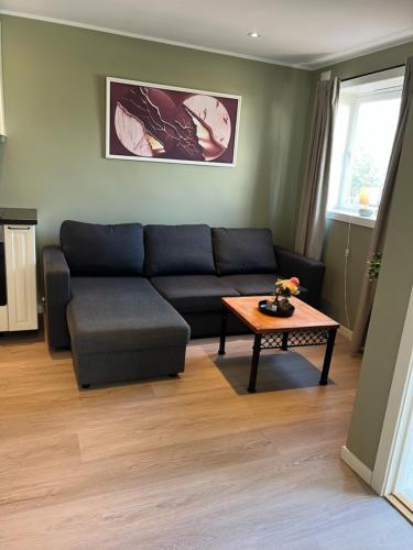 Mai Tran in Gjovik City Center Mai Tran in Gjovik City Center