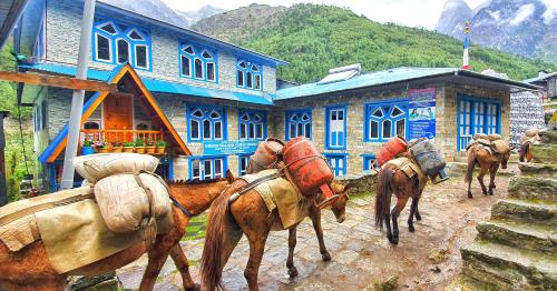 المنطقة المحيطة, Green Village guest house & hotel in منطقة إفرست - نيبال المنطقة المحيطة, Green Village guest house & hotel in منطقة إفرست - نيبال