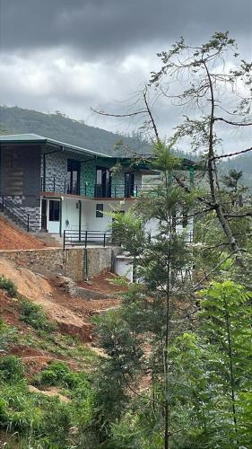 Stone gal in دلتوته Stone gal in دلتوته