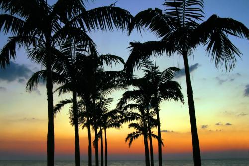 View, Plaza Beach Hotel - Beachfront Resort in St. Pete Beach (FL) View, Plaza Beach Hotel - Beachfront Resort in St. Pete Beach (FL)