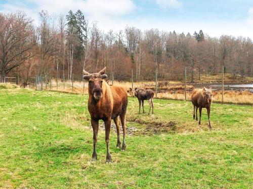 Létesítmények, 6 person holiday home in STJÄRNHOV-By Traum (6 person holiday home in STJARNHOV-By Traum) in Stjarnhov Létesítmények, 6 person holiday home in STJÄRNHOV-By Traum (6 person holiday home in STJARNHOV-By Traum) in Stjarnhov