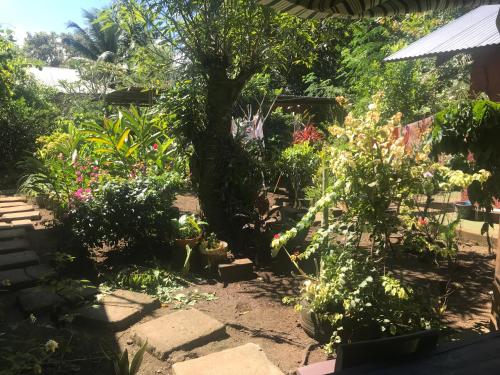 Pemandangan, Chez Nina CH in Opoa Pemandangan, Chez Nina CH in Opoa