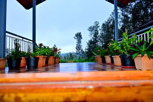 Siri Kuteera Homestay in Aladagudde Siri Kuteera Homestay in Aladagudde