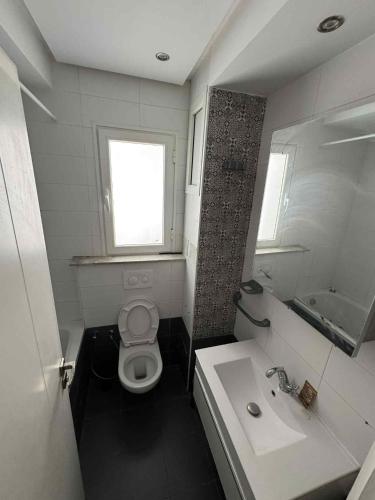 Zemraud in 가베스 Zemraud in 가베스