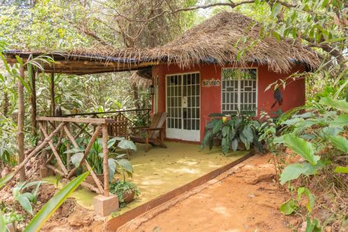 Tacugama Chimpanzee Sanctuary in Lakka Tacugama Chimpanzee Sanctuary in Lakka