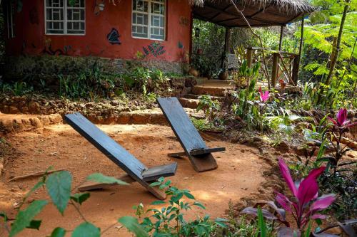 Tacugama Chimpanzee Sanctuary in Lakka Tacugama Chimpanzee Sanctuary in Lakka