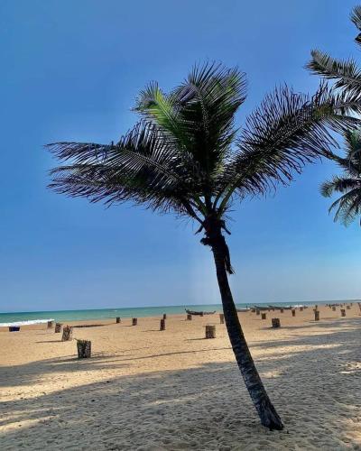 Bleu Marin Résidence hôtelière (Bleu Marin Residence hoteliere) in Mono Bleu Marin Résidence hôtelière (Bleu Marin Residence hoteliere) in Mono