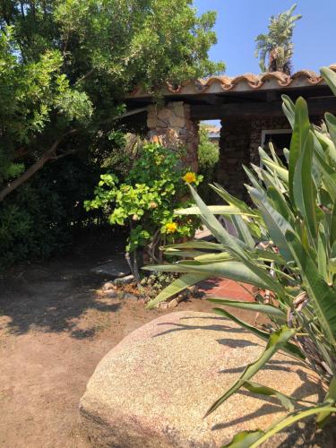 Villetta Simius Luxury in Simius Villetta Simius Luxury in Simius