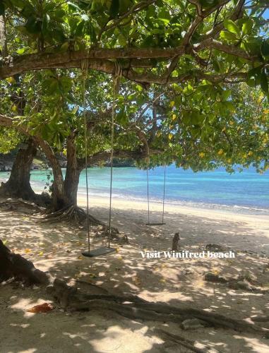 Sunset grove hideaway in Portland Sunset grove hideaway in Portland