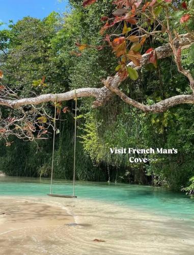 Sunset grove hideaway in Portland Sunset grove hideaway in Portland